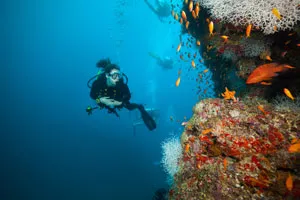 malediven-reisedauer-tauchen