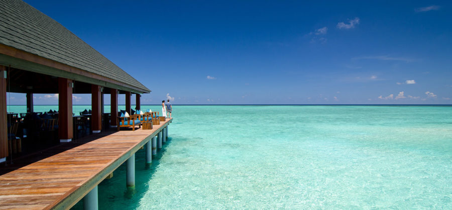 Summer Island Maldives Avi Restaurant