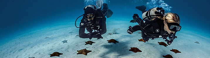Tauchzentrale Berlin Brandenburg Tauchschule und Tauchkurse