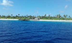 Amari Havodda Margit Meer