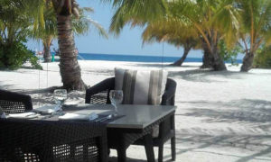 Amari Havodda Margit Strand