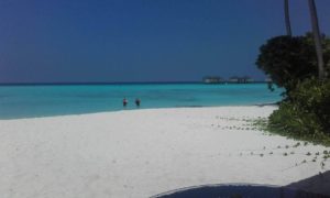 Amari Havodda Margit Strand