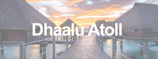 dhaalu-atoll-thumb