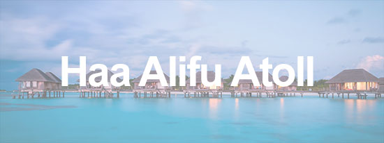 haa-alifu-atoll-thumb