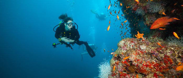 Tauchen im Gaafaru Atoll